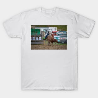 RODEOS, HORSES, COWBOYS T-Shirt